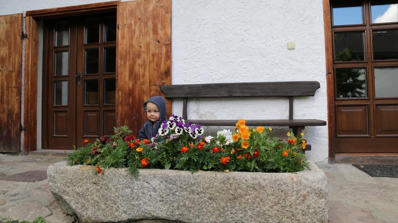 Penzion Mauritz Nova Pec Bagian luar foto